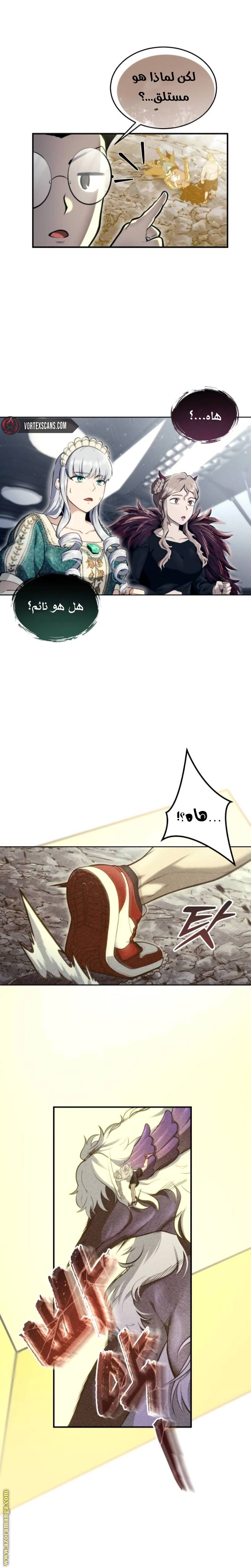 الصفحة 17
