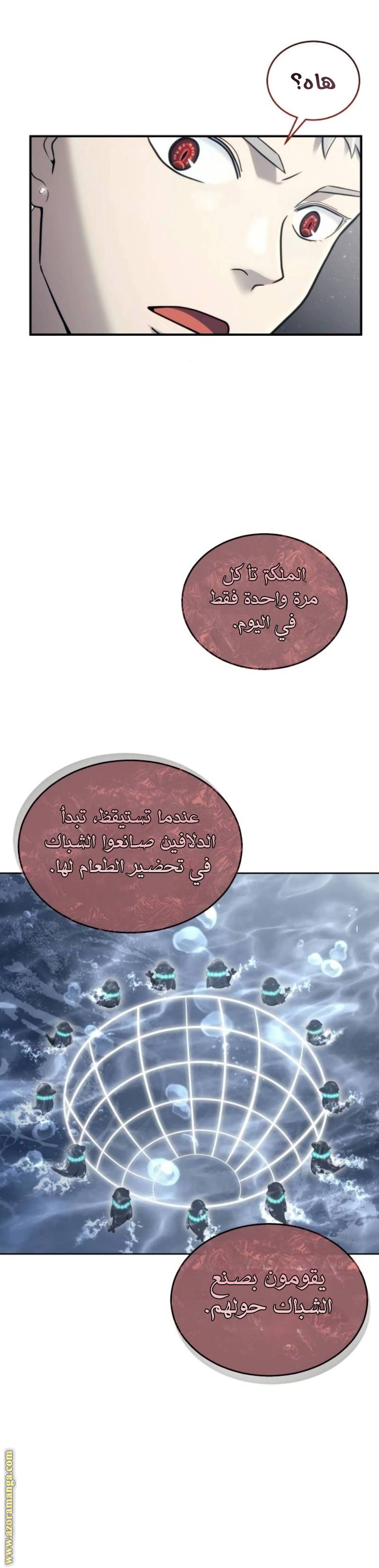 الصفحة 22