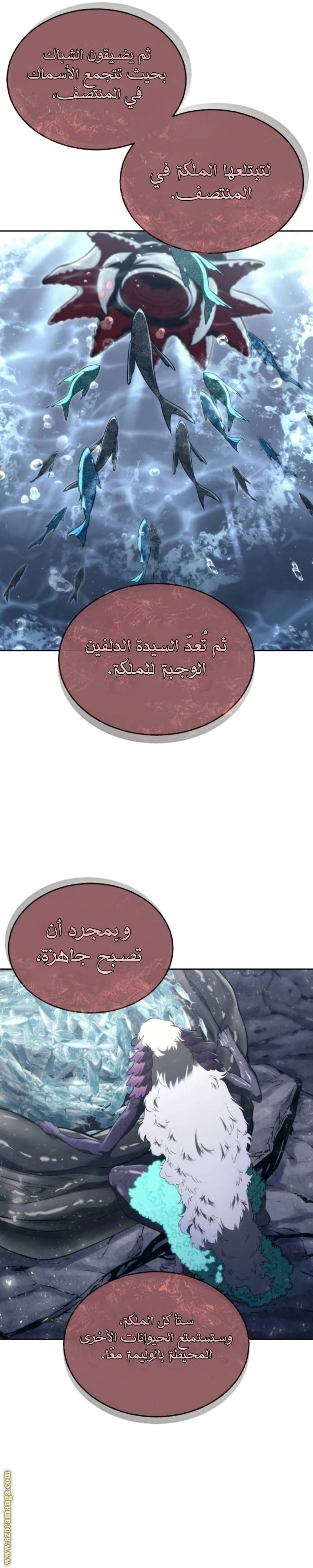 الصفحة 23