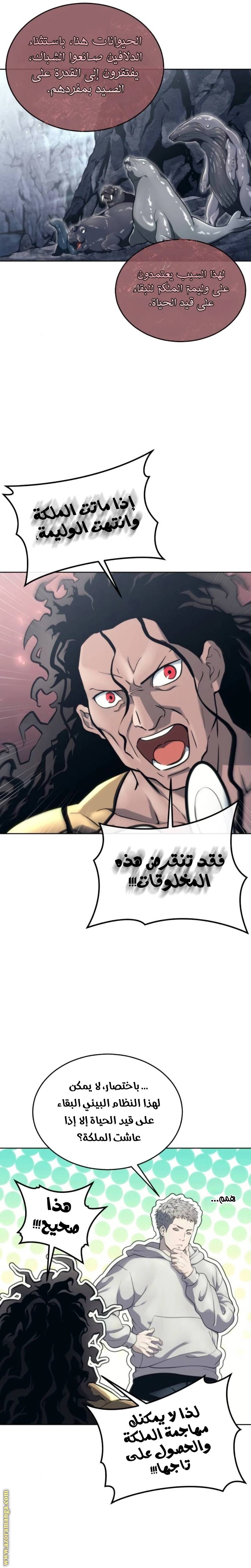 الصفحة 24