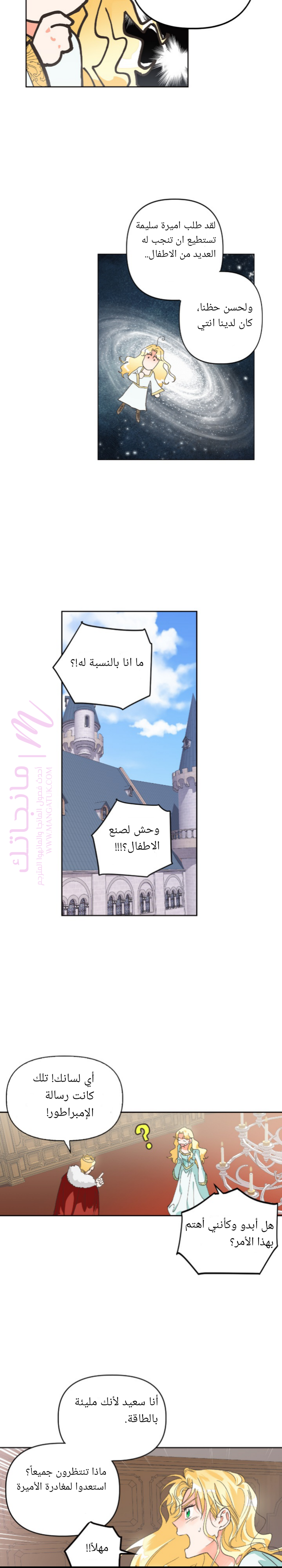 الصفحة 17