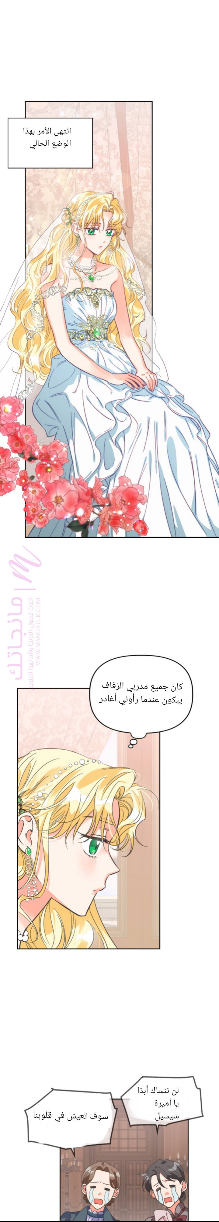 الصفحة 19