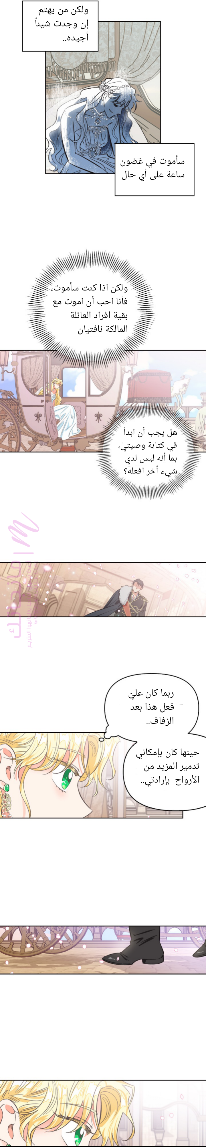 الصفحة 16