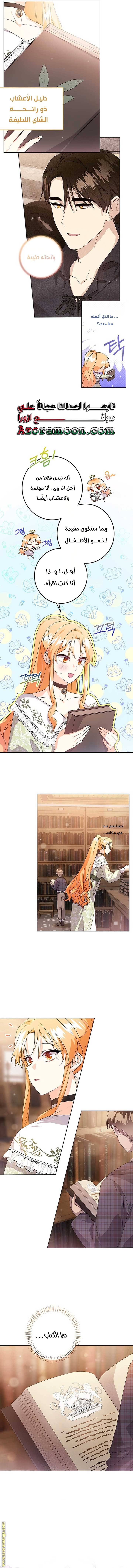 الصفحة 8