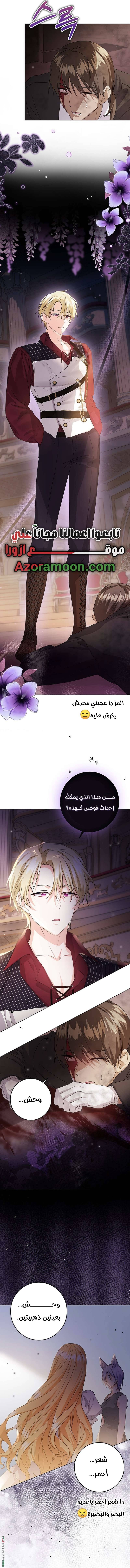 الصفحة 4