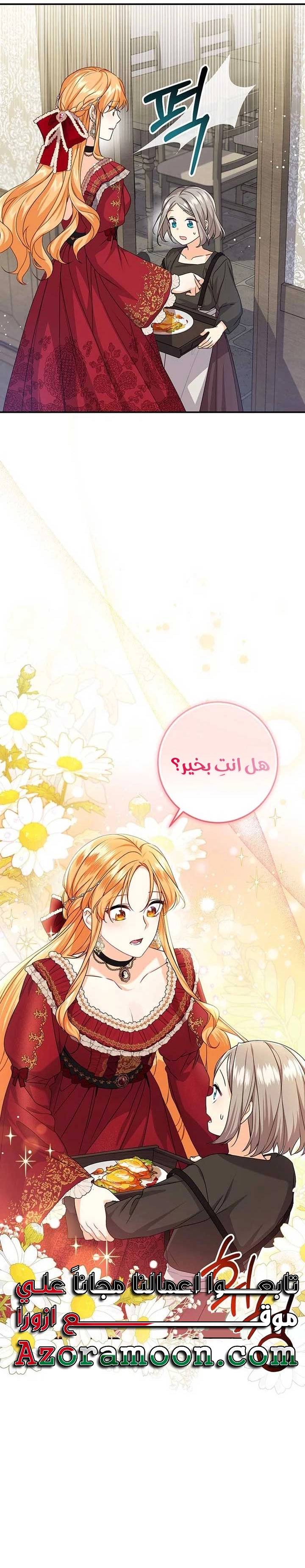 الصفحة 17