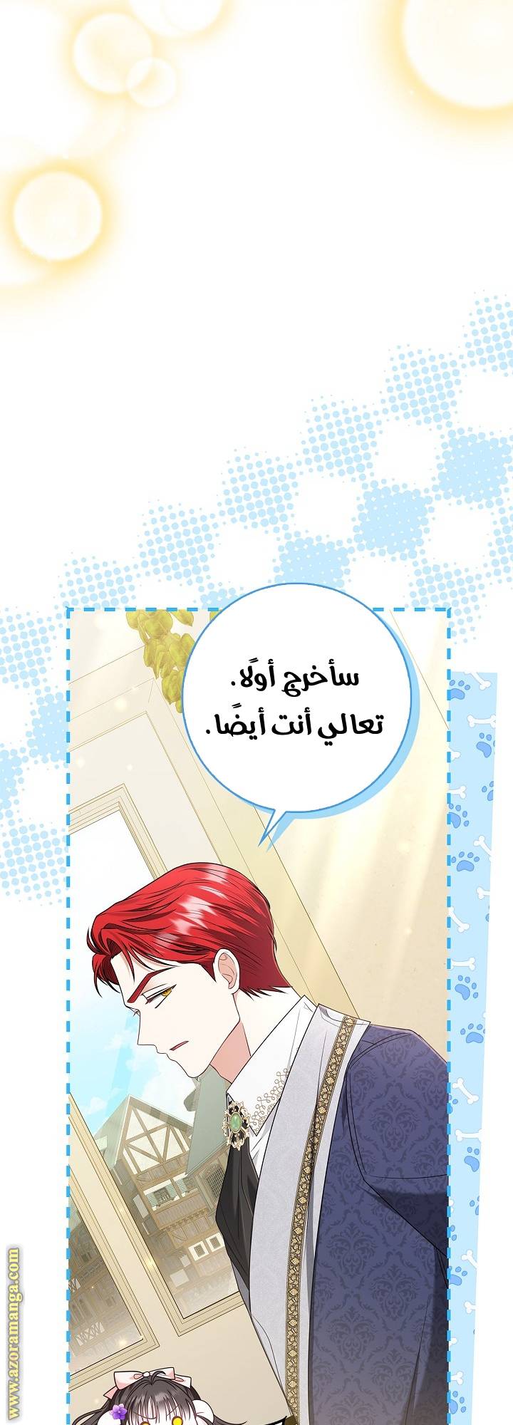 الصفحة 17
