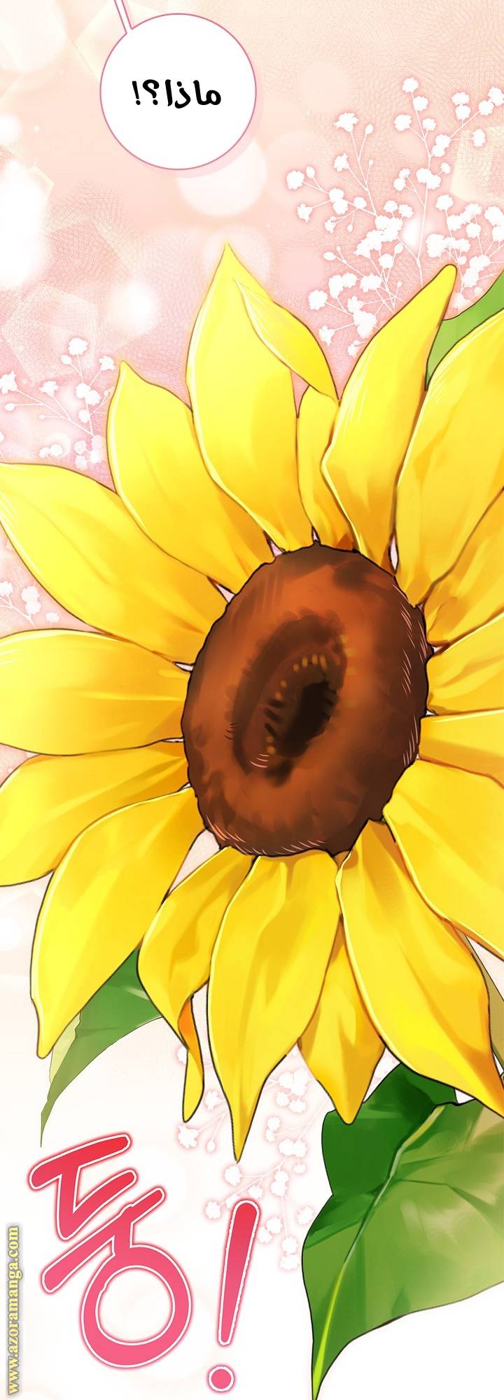 الصفحة 21