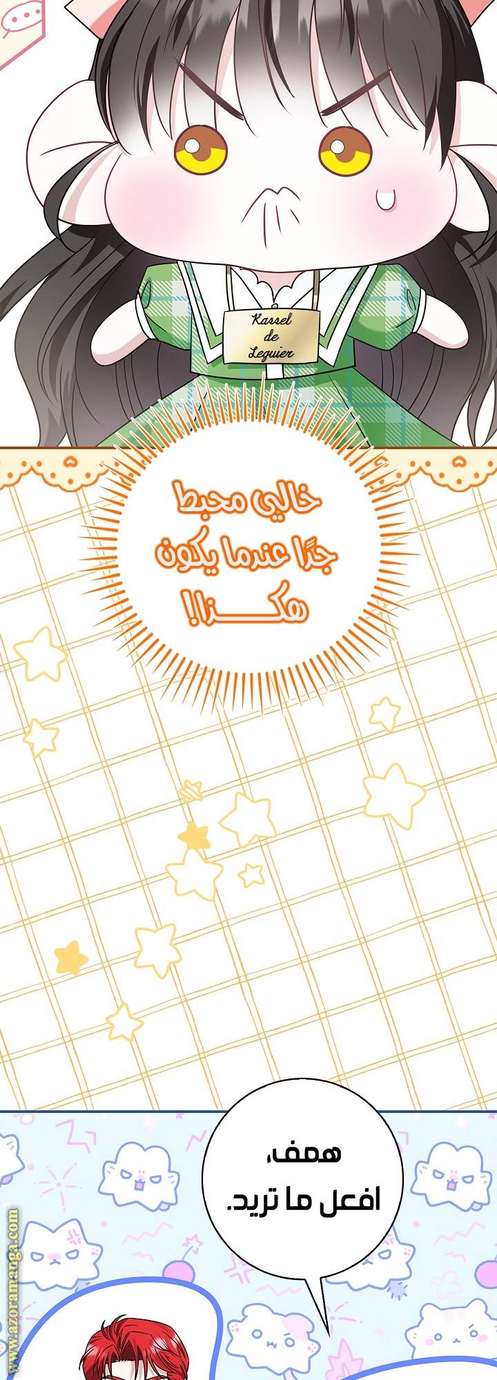 الصفحة 26