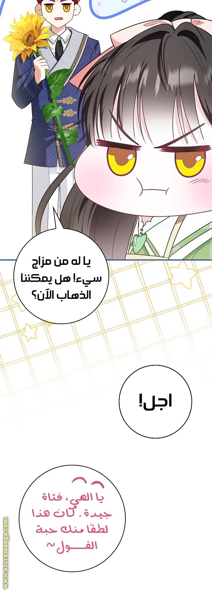 الصفحة 27