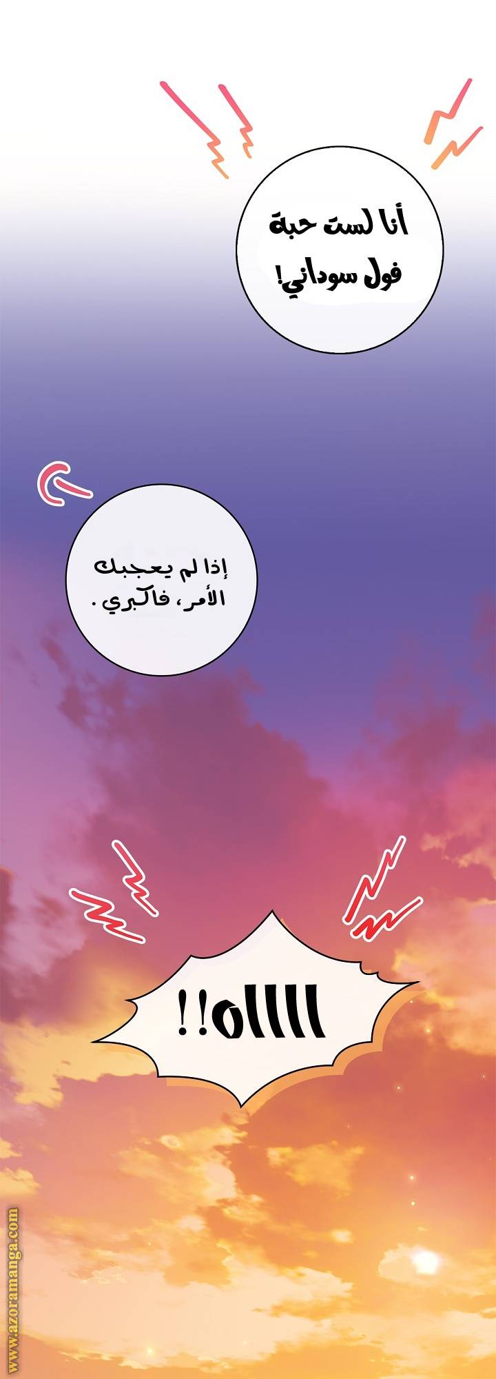 الصفحة 28