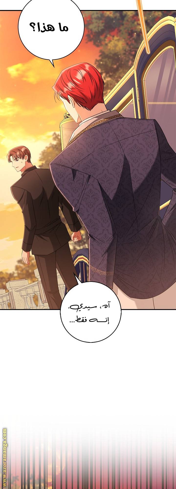 الصفحة 31