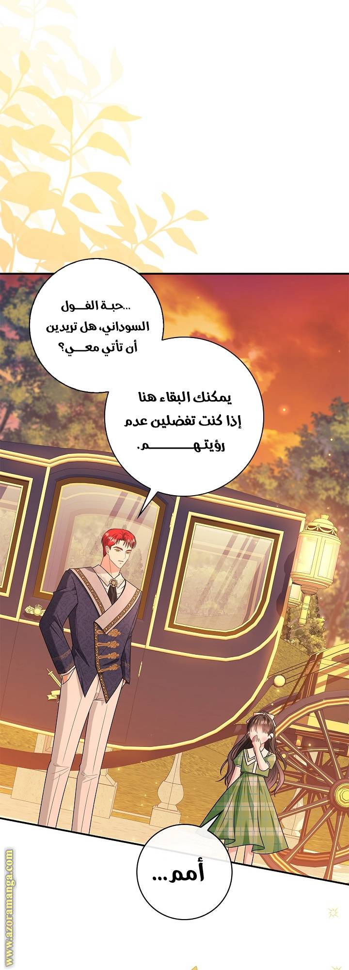 الصفحة 35