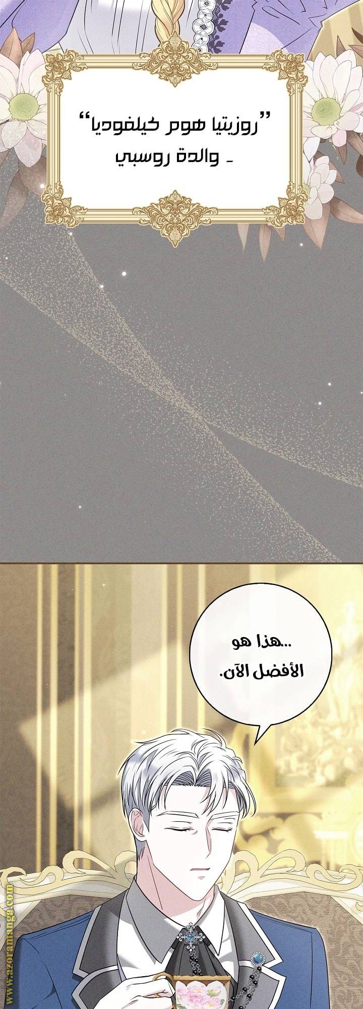 الصفحة 17