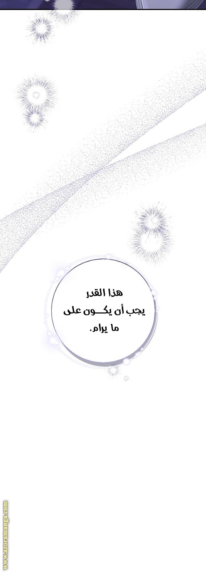 الصفحة 27