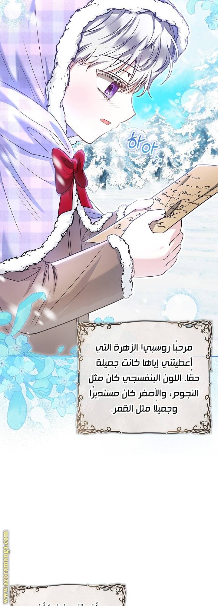 الصفحة 29