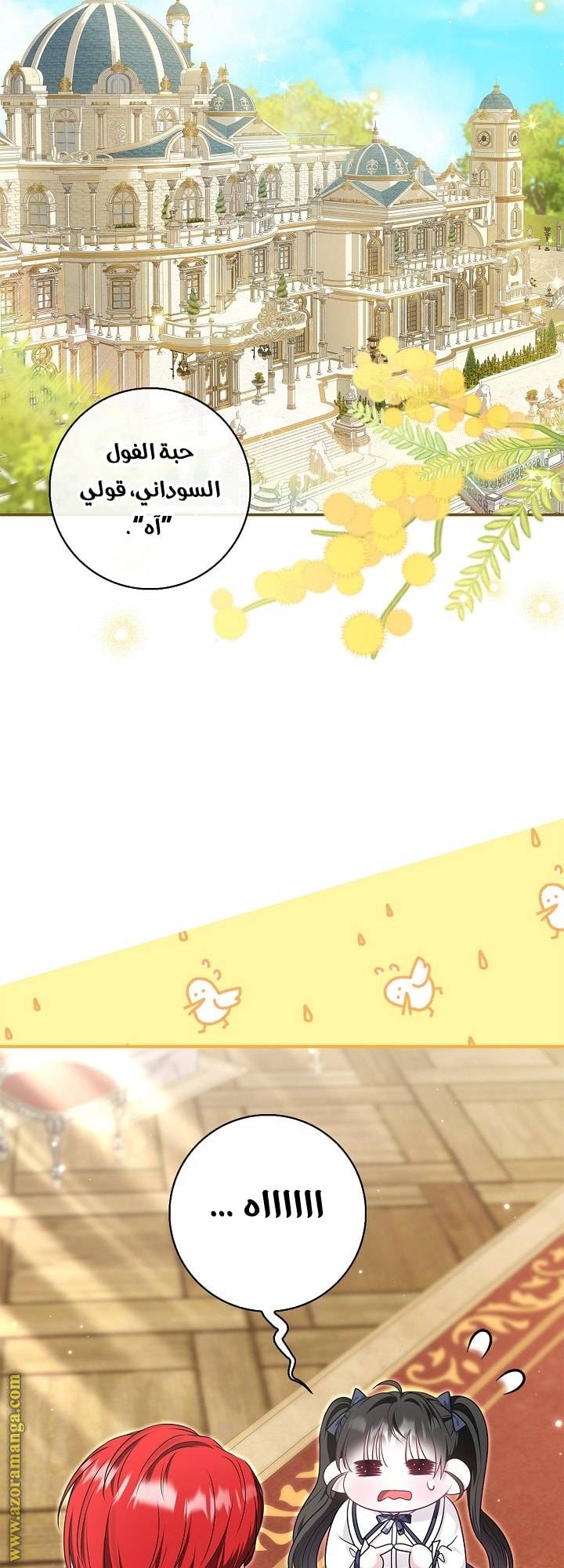 الصفحة 35
