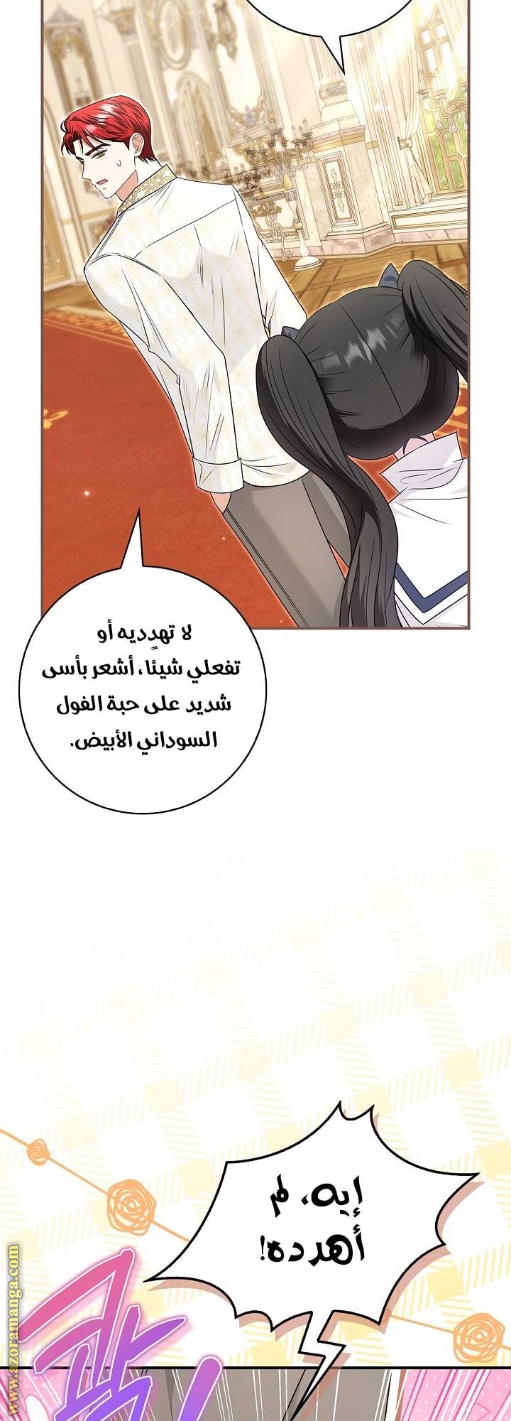 الصفحة 46