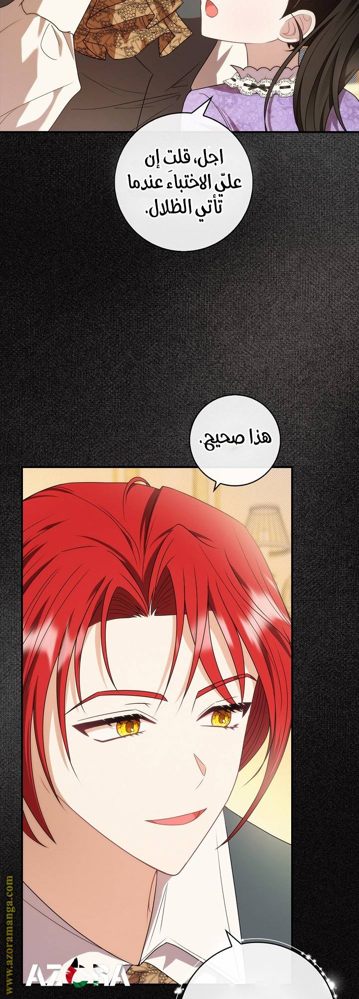 الصفحة 11