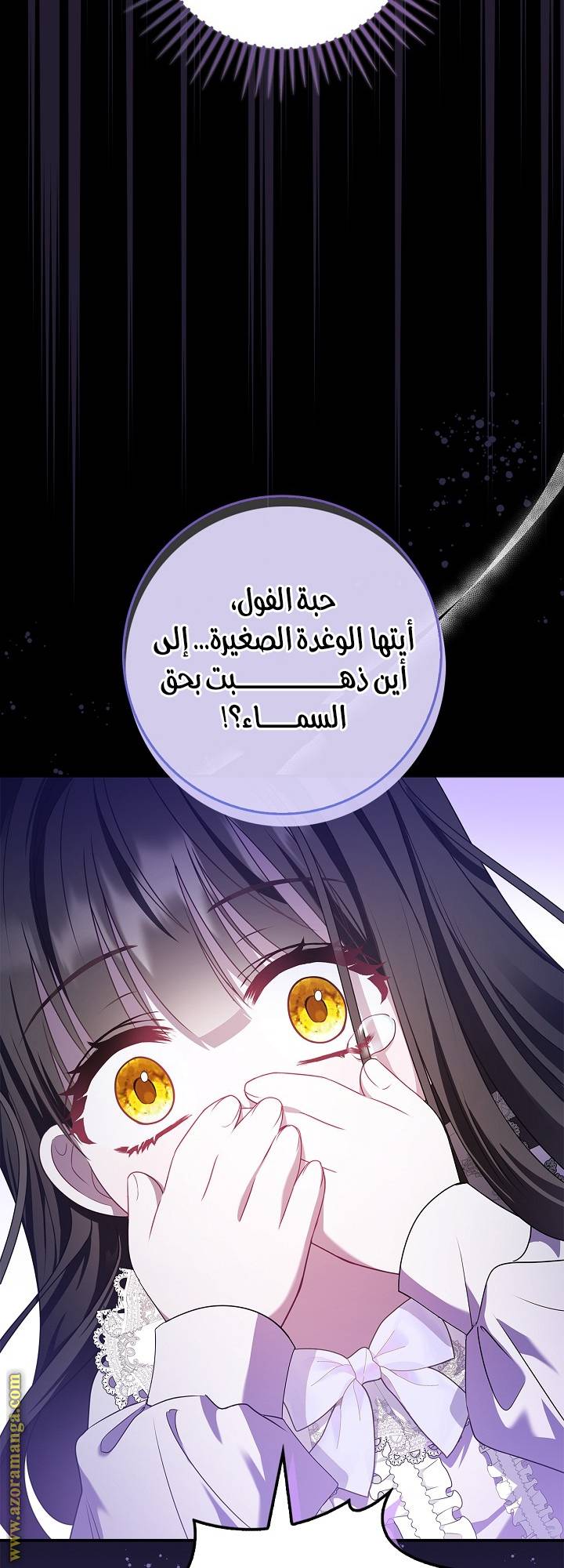 الصفحة 20