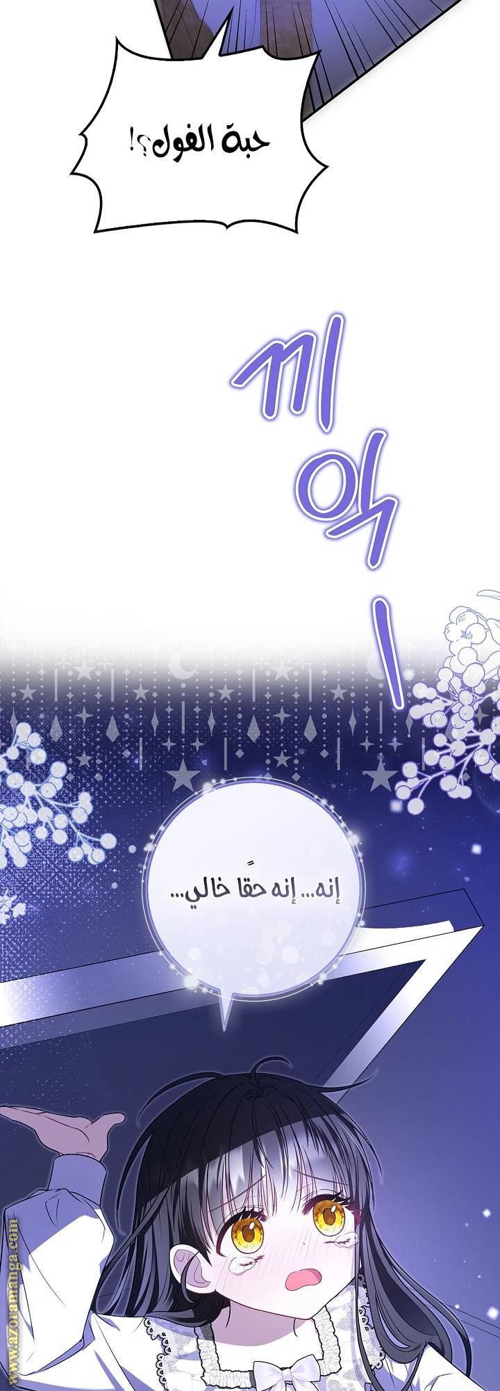 الصفحة 23