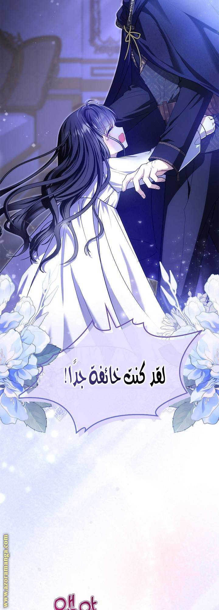 الصفحة 27