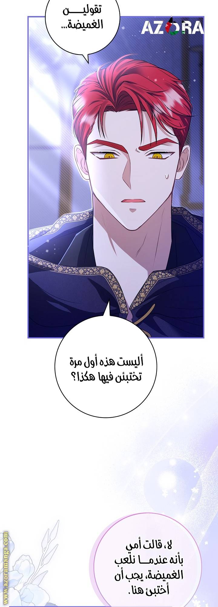 الصفحة 29
