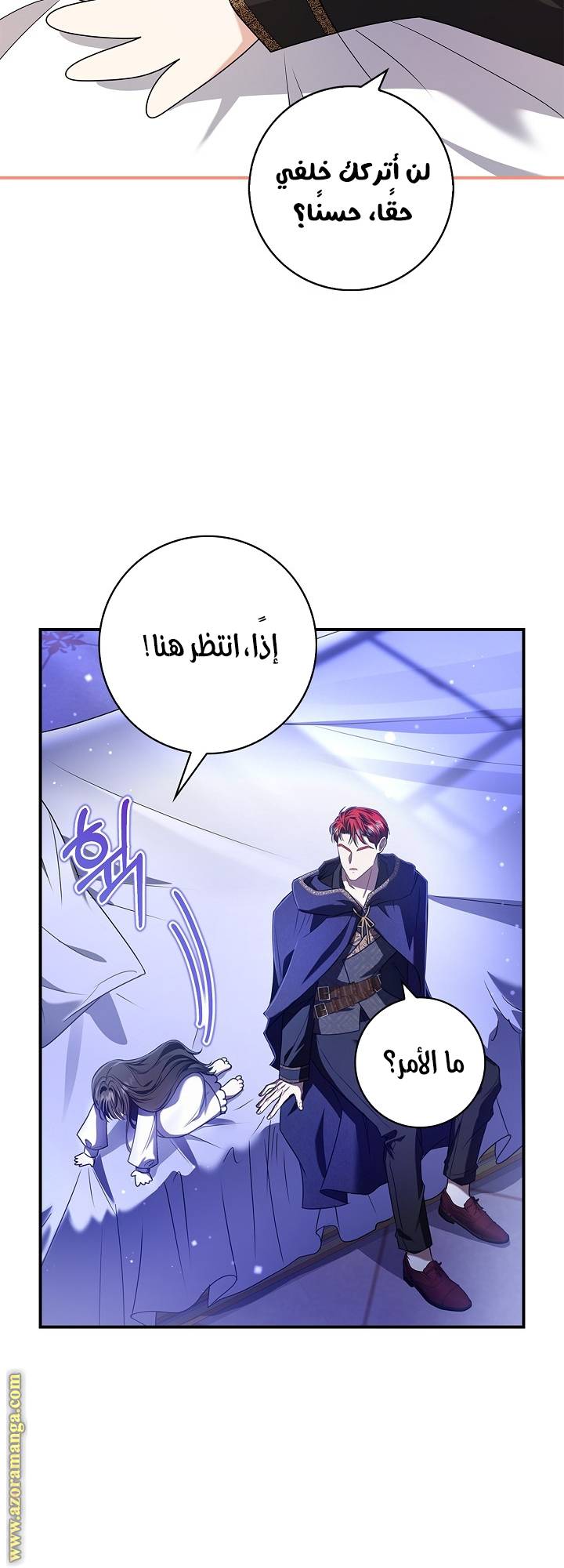 الصفحة 41
