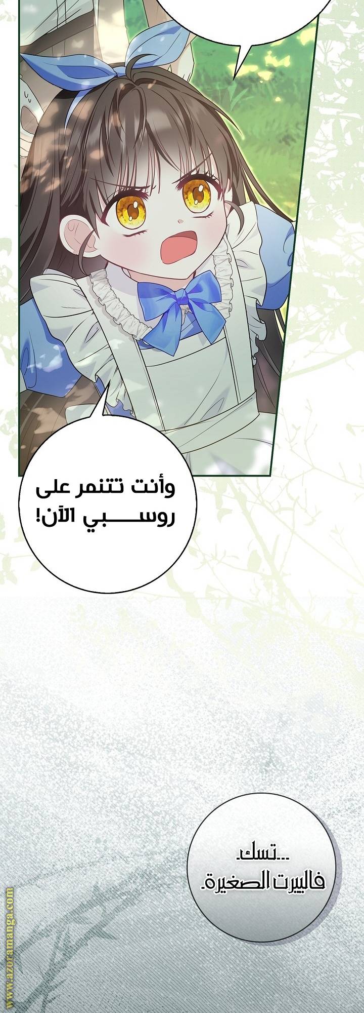 الصفحة 17