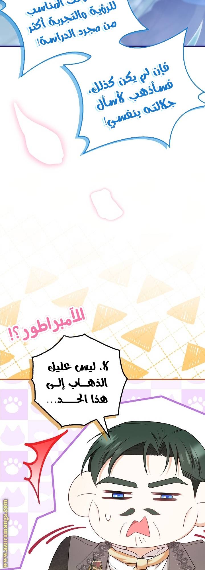 الصفحة 20