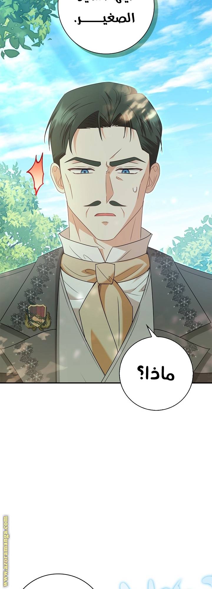 الصفحة 29