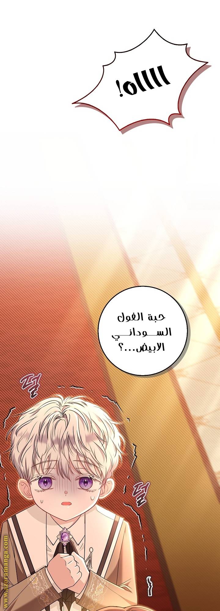 الصفحة 60