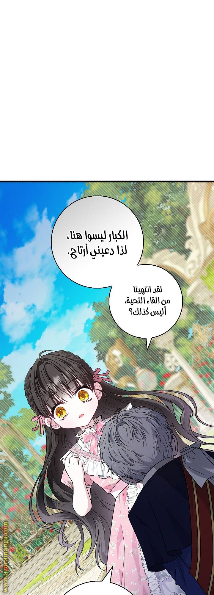 الصفحة 46