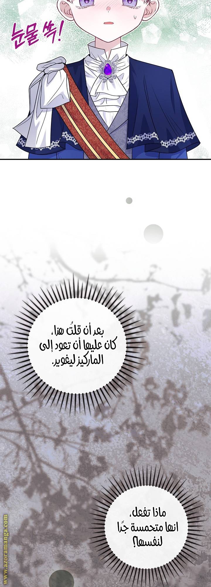 الصفحة 52