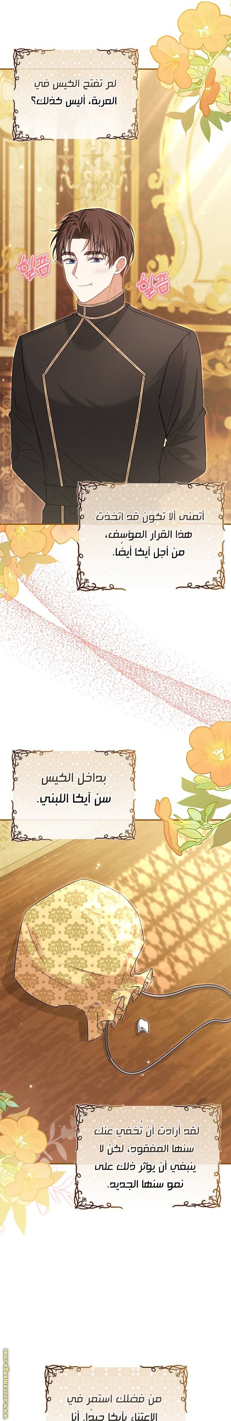 الصفحة 17