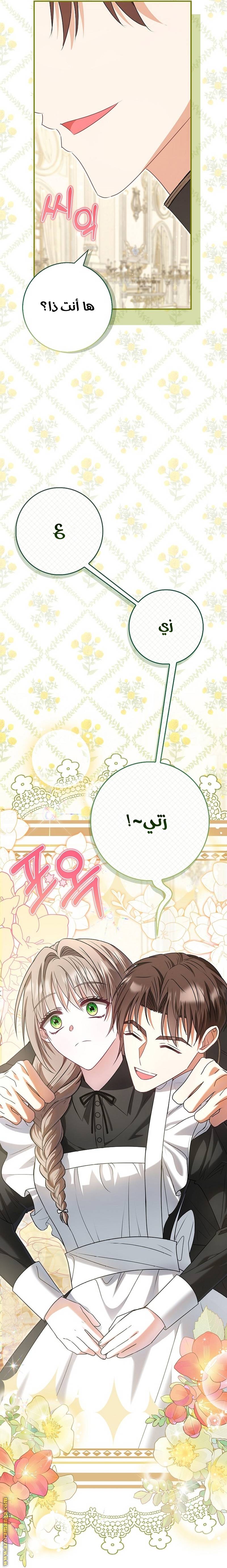 الصفحة 21
