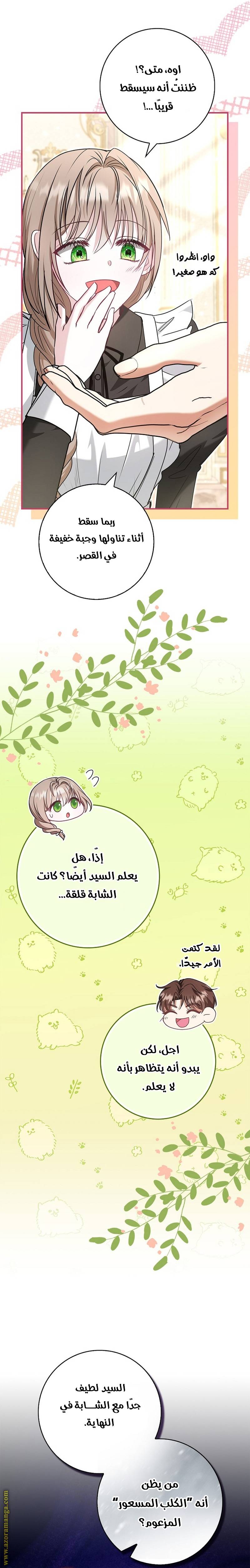 الصفحة 25