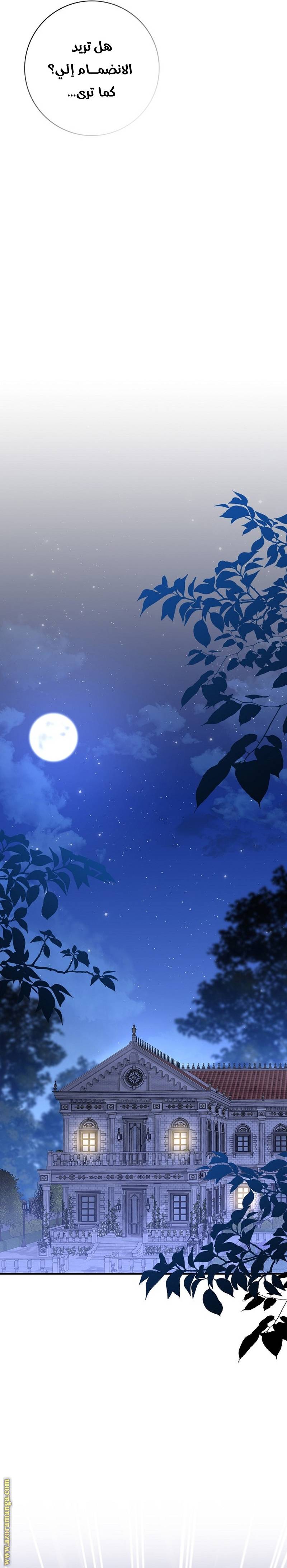 الصفحة 27