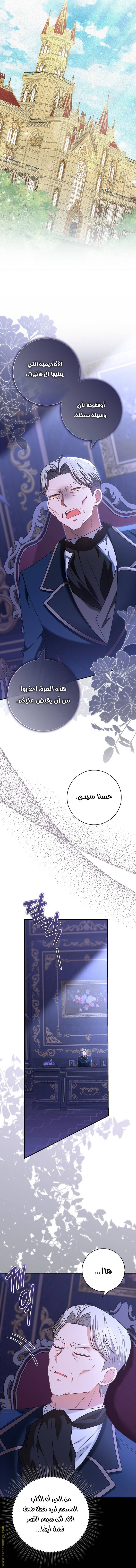الصفحة 29