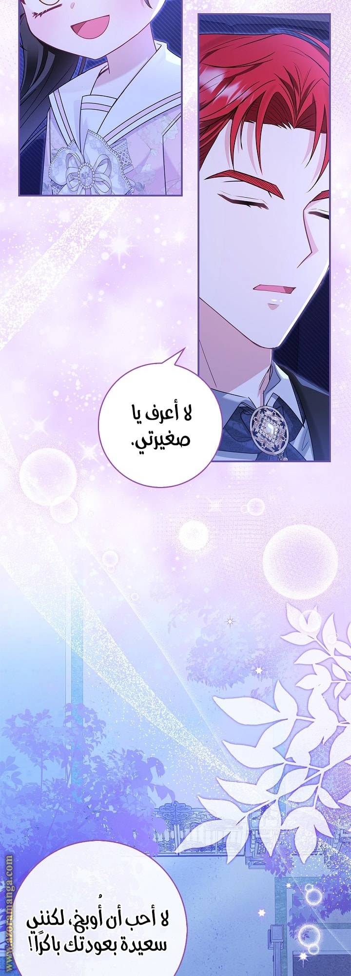 الصفحة 26
