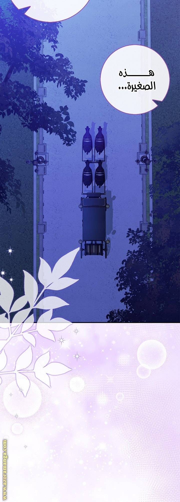 الصفحة 27
