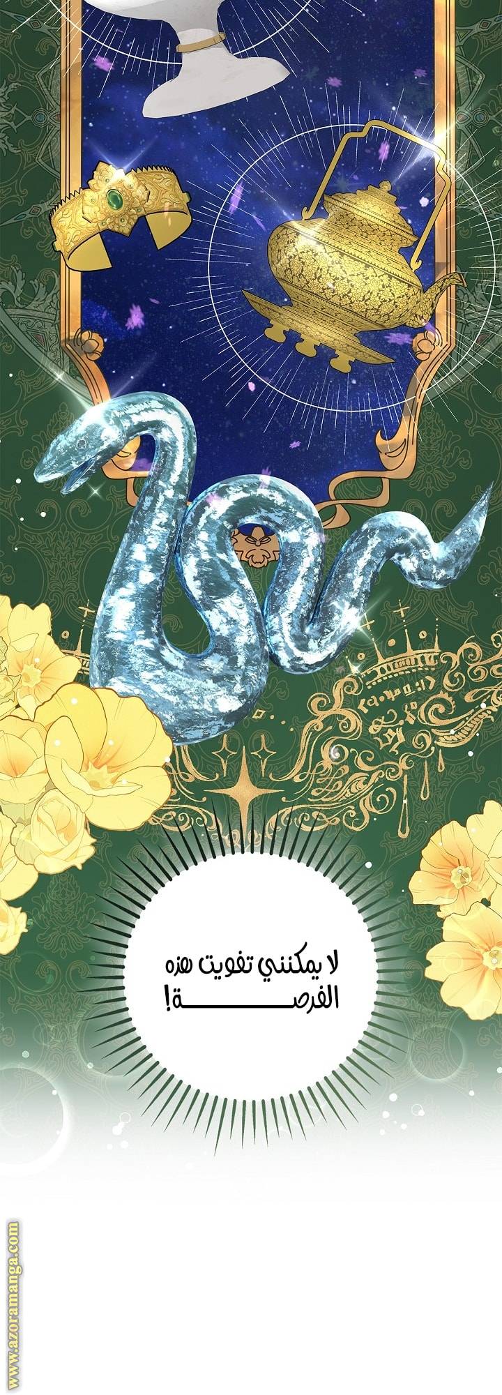 الصفحة 41