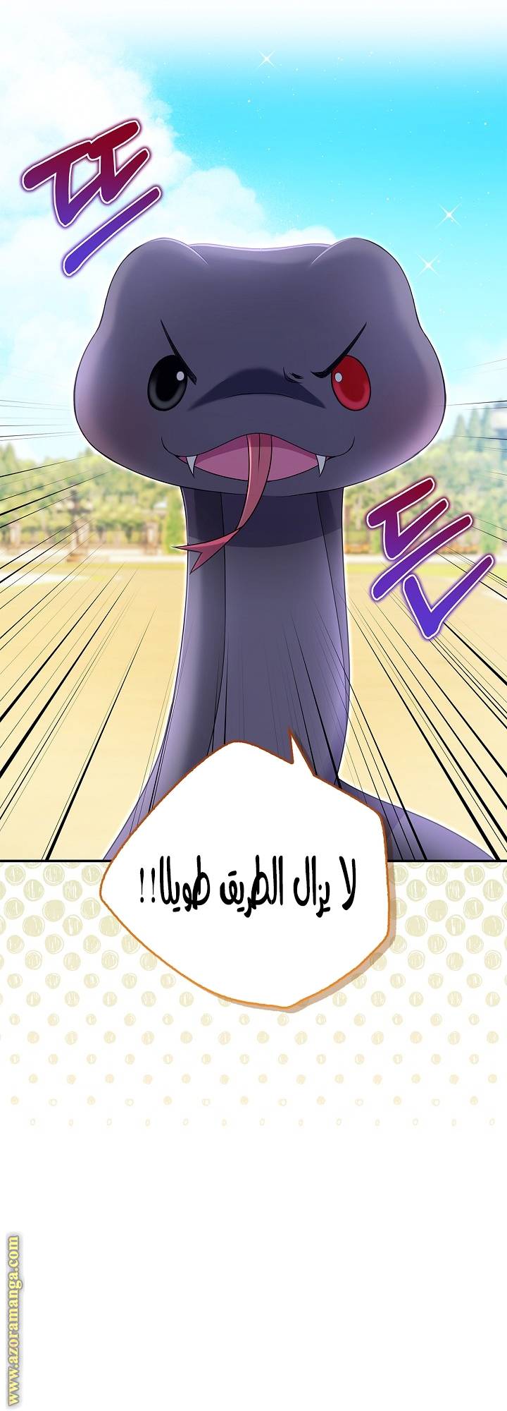الصفحة 41