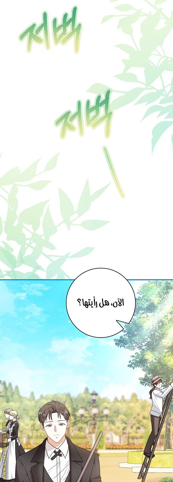 الصفحة 45