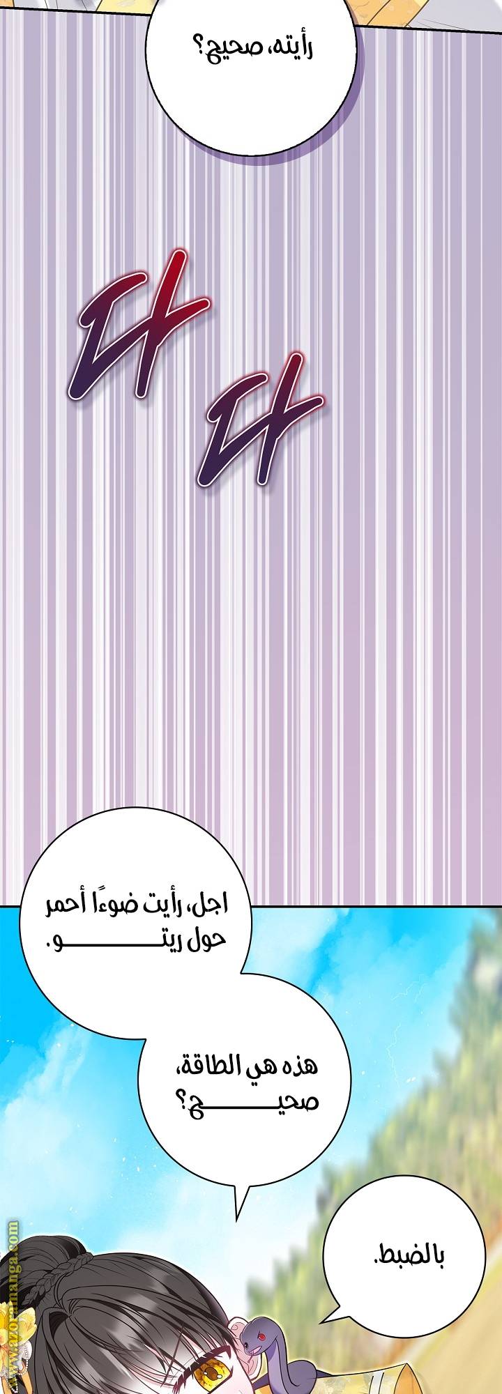 الصفحة 62