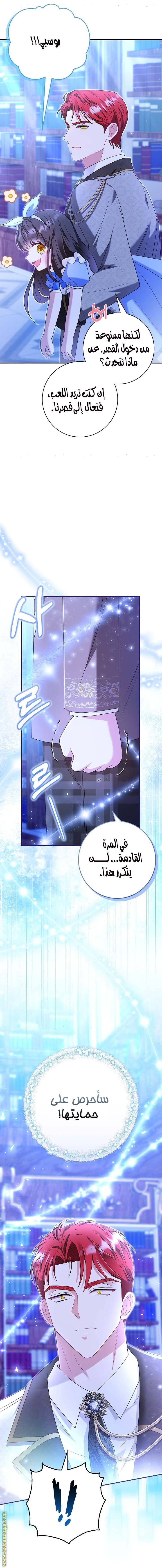 الصفحة 17