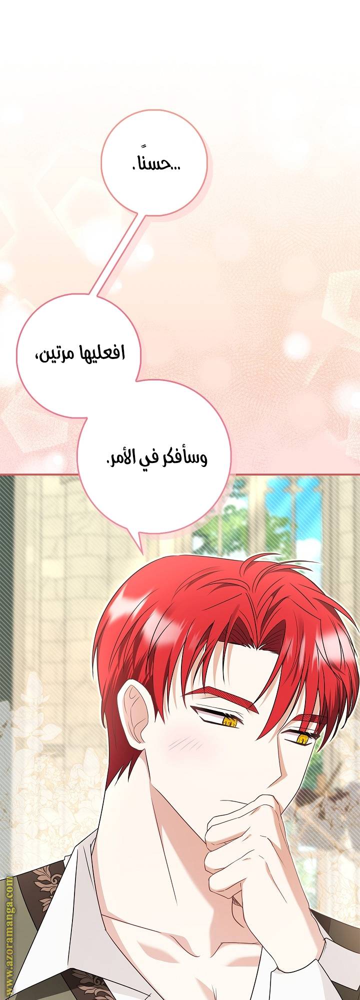 الصفحة 31