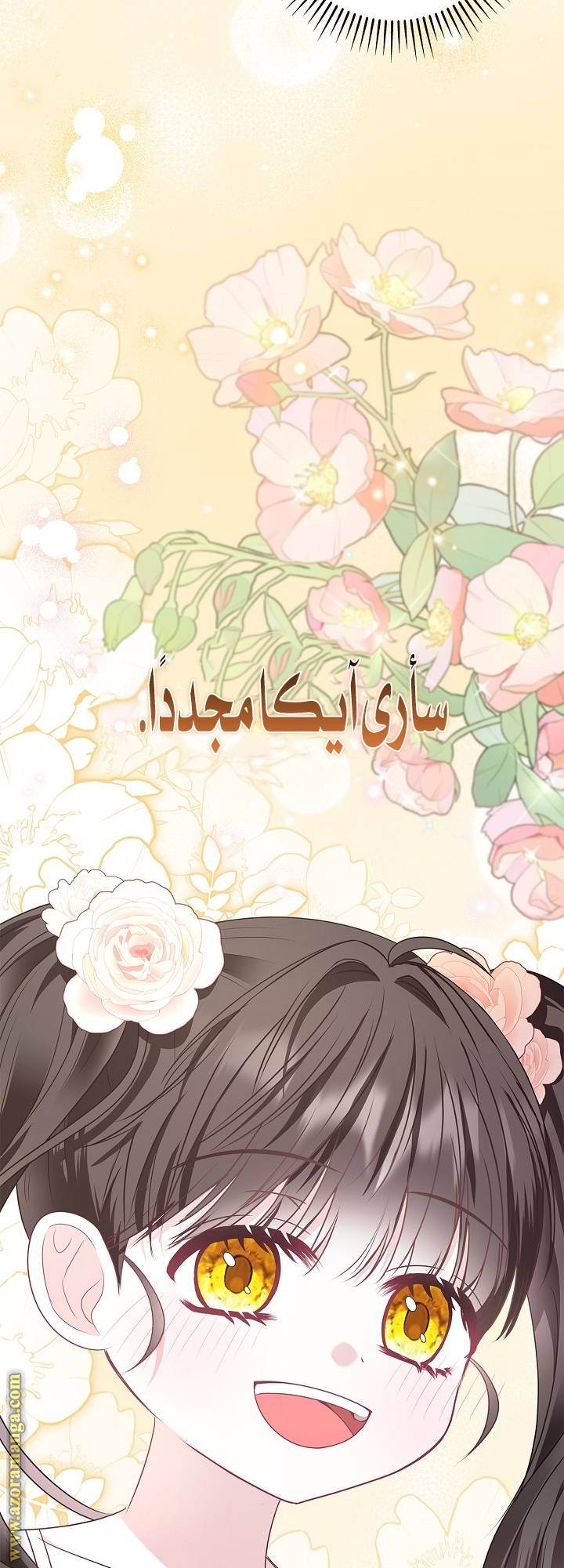 الصفحة 67