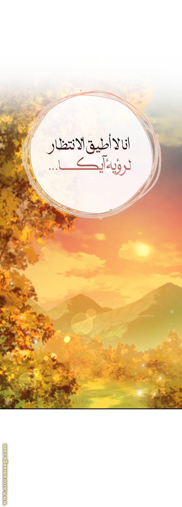 الصفحة 71