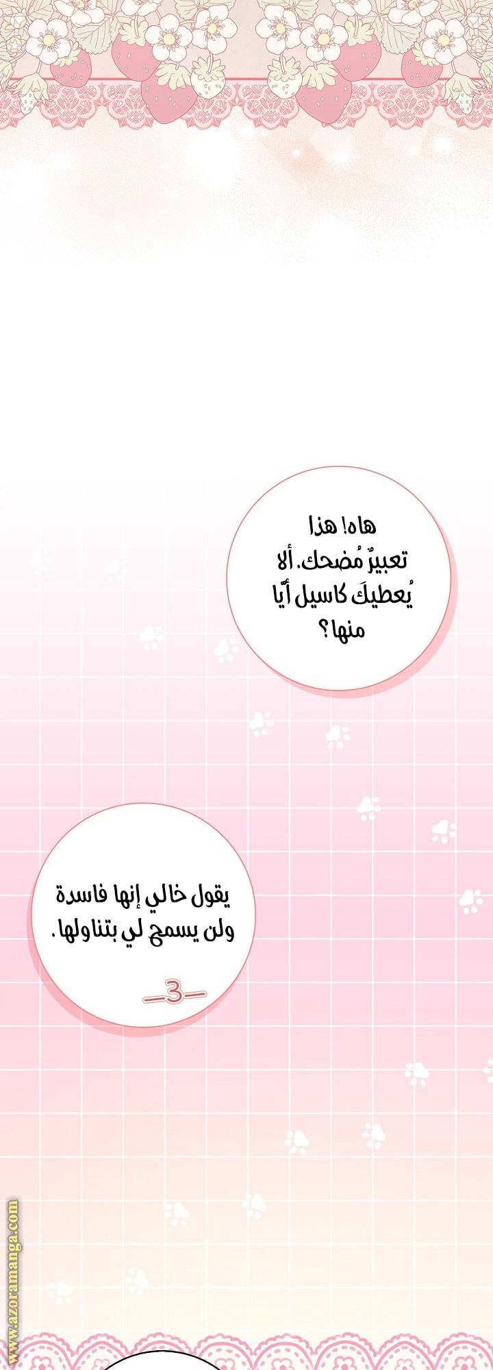 الصفحة 29